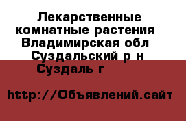 Лекарственные комнатные растения - Владимирская обл., Суздальский р-н, Суздаль г.  »    